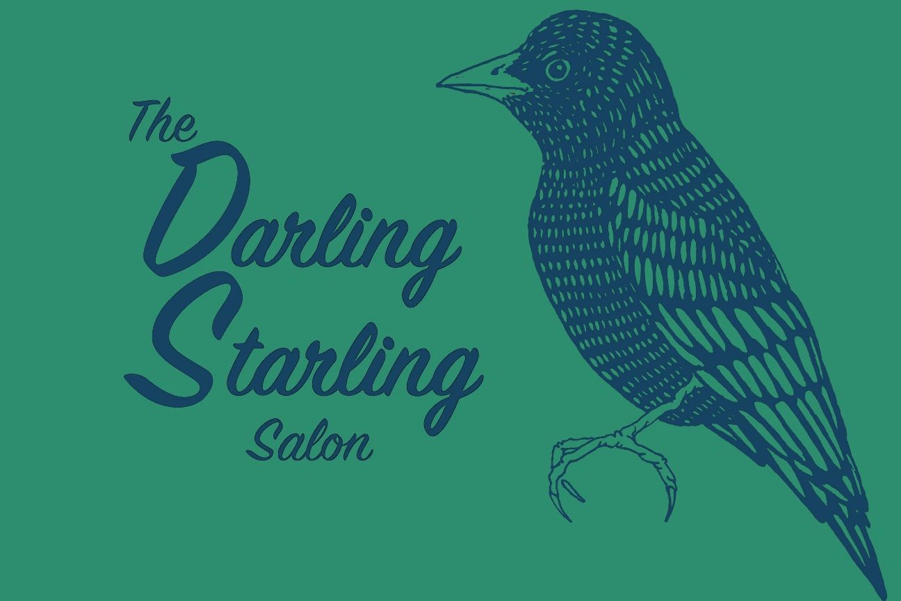 The Darling Starling Salon Hair Salon East Boston Hair Darling 
